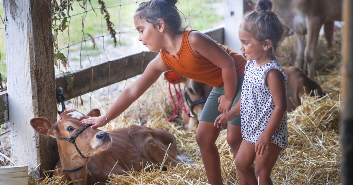 Central Illinois Snapshots: H&R photographer Joseph Ressler shares his ...