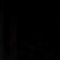 Backyard Tire Fire Smoldering At Summer Camp Local Entertainment