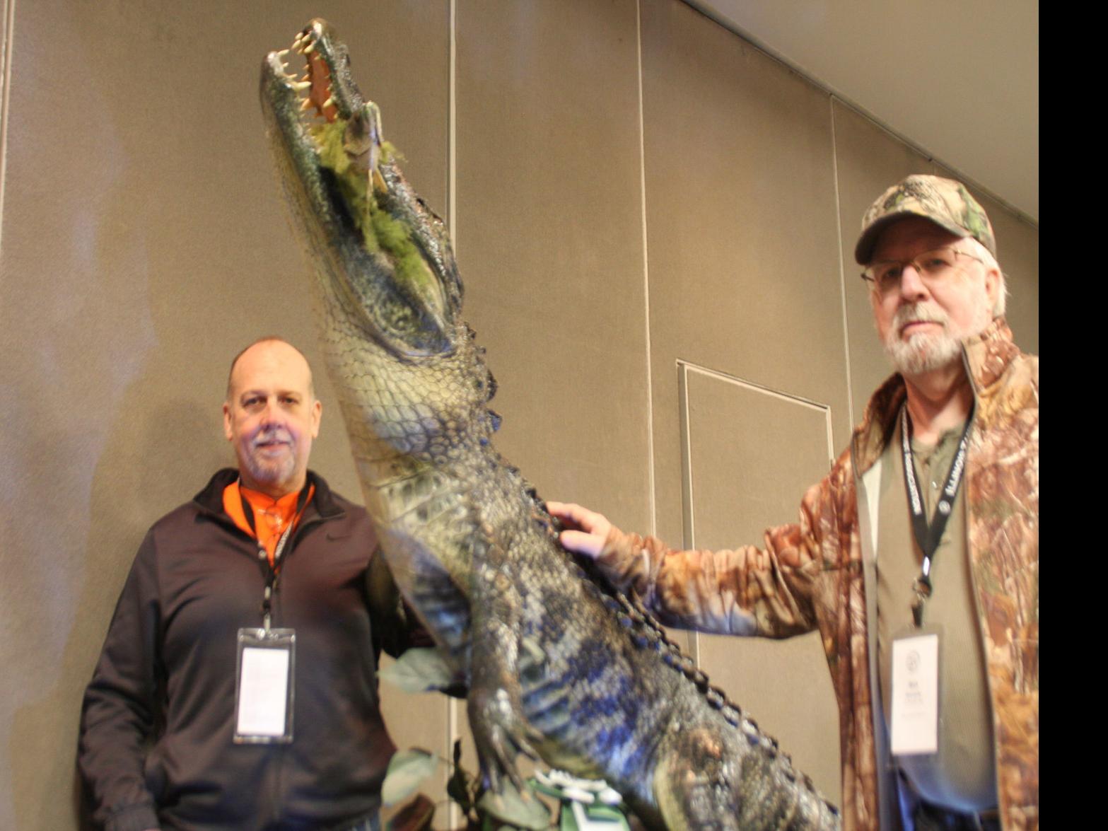 See You Later Alligator All Critters Show Up At The Taxidermists Decatur Convention Local Herald Review Com