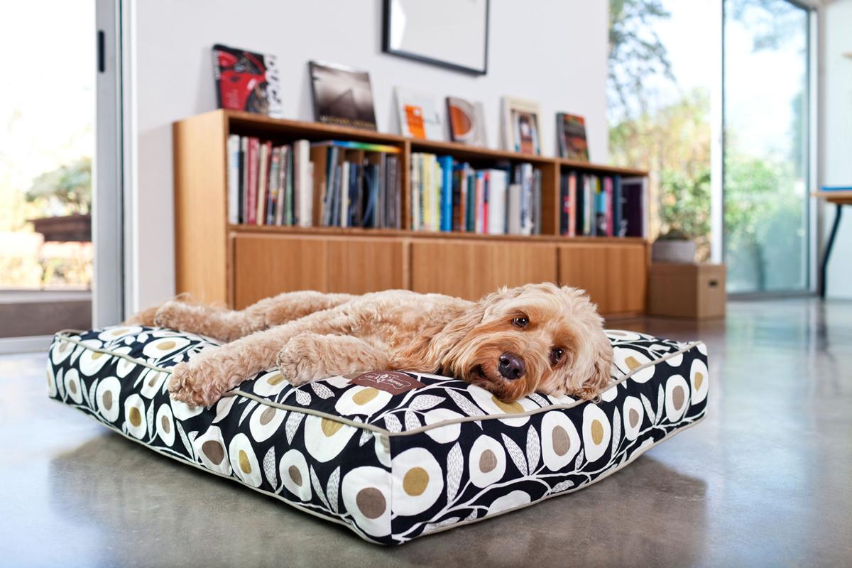 Jameson Dog Beds For The Discerning Designer Life People Jameson Dog Beds For The Discerning Designer