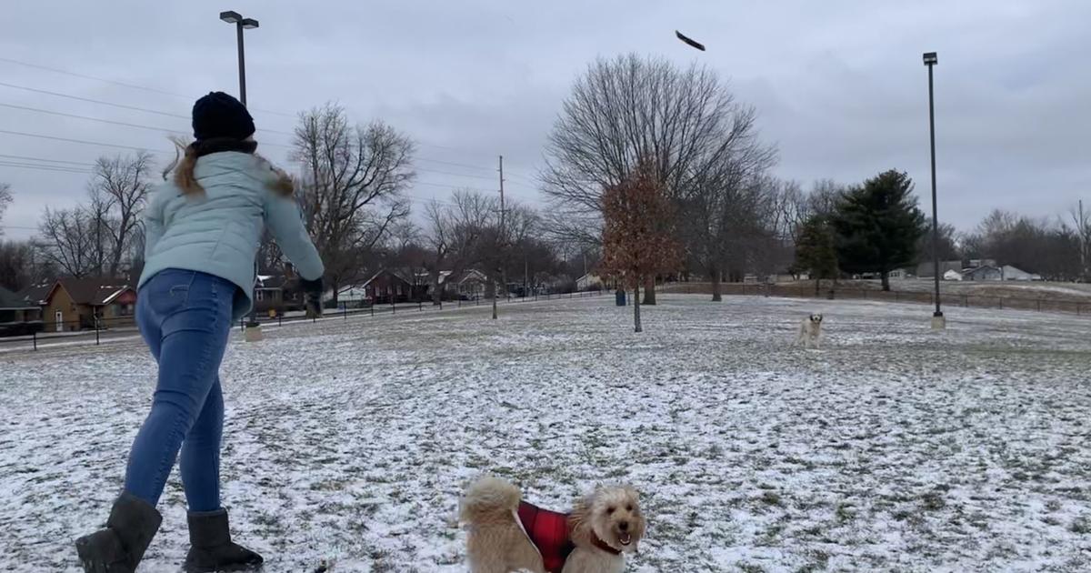 Decatur residents, businesses make the most of meager snowfall