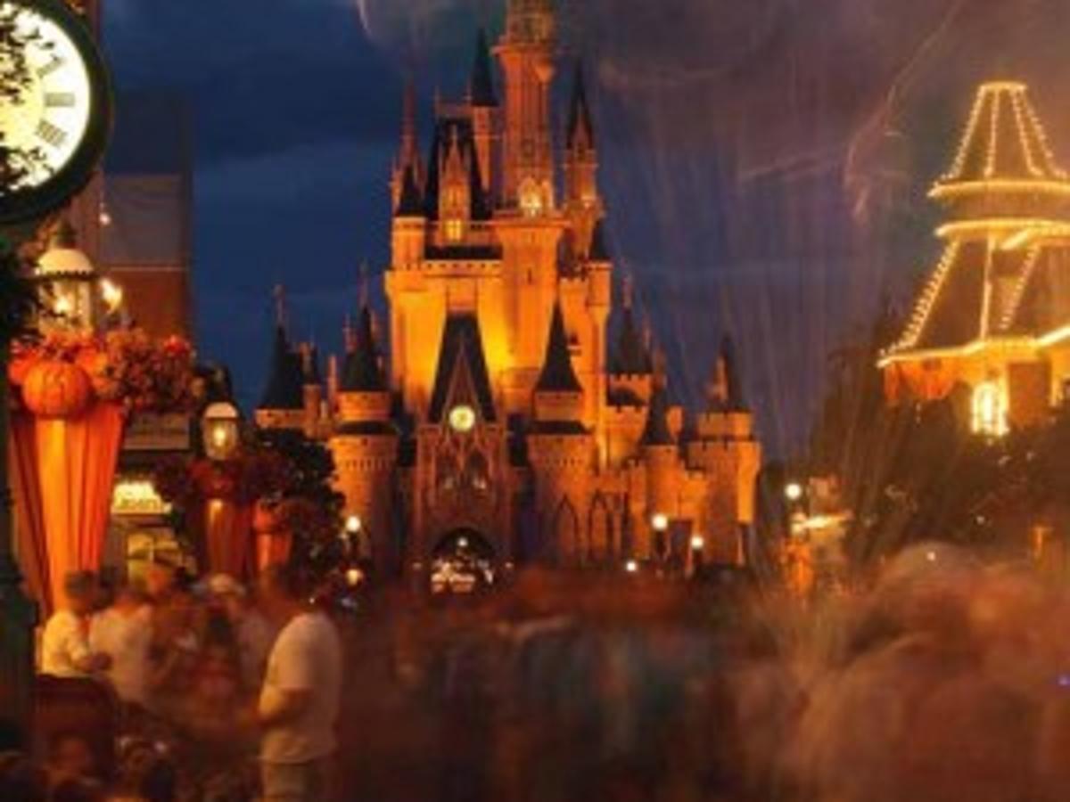 View Book The Unofficial Guide: Walt Disney World 2011 Gif