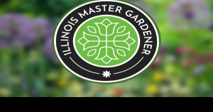 YARD AND GARDEN: How fruit saved soldiers - Vimarsana News