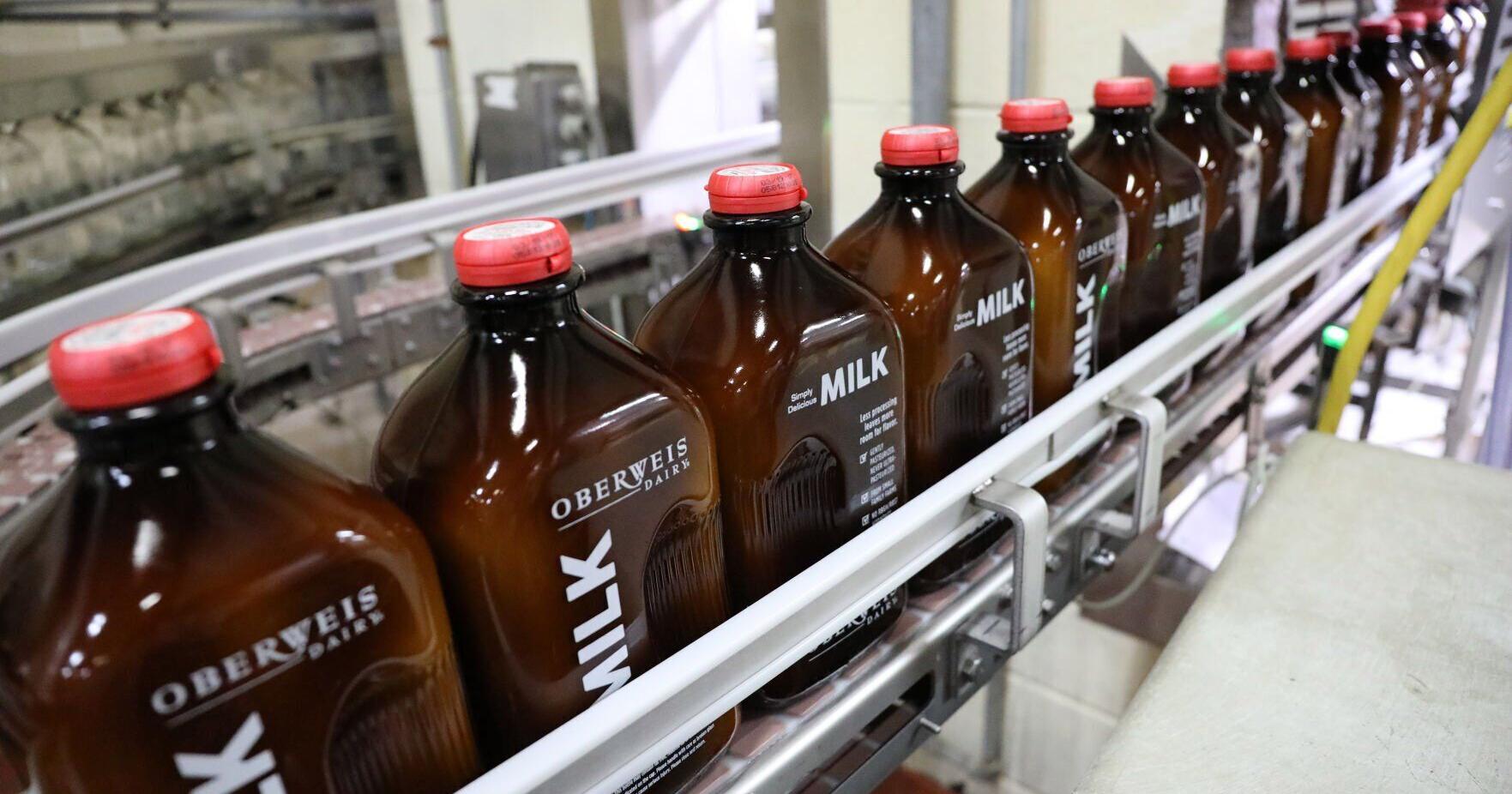 Private equity firm wins bankruptcy auction for Oberweis Dairy - Vimarsana News