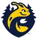 Women’s Volleyball Completes Sweep of CCIW Regular Season