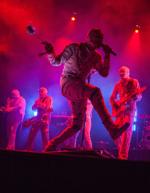 Here Come The Mummies