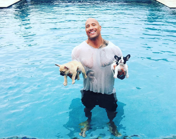 17 Times The Rock S Instagram Was Exactly What We Needed Celebrity   5865683a617d6.preview 