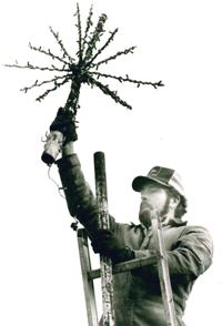 Christmas decorations