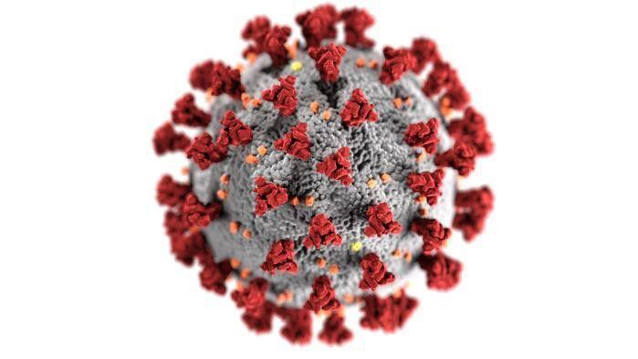 Third COVID-19 variant confirmed in Macon County - Vimarsana News
