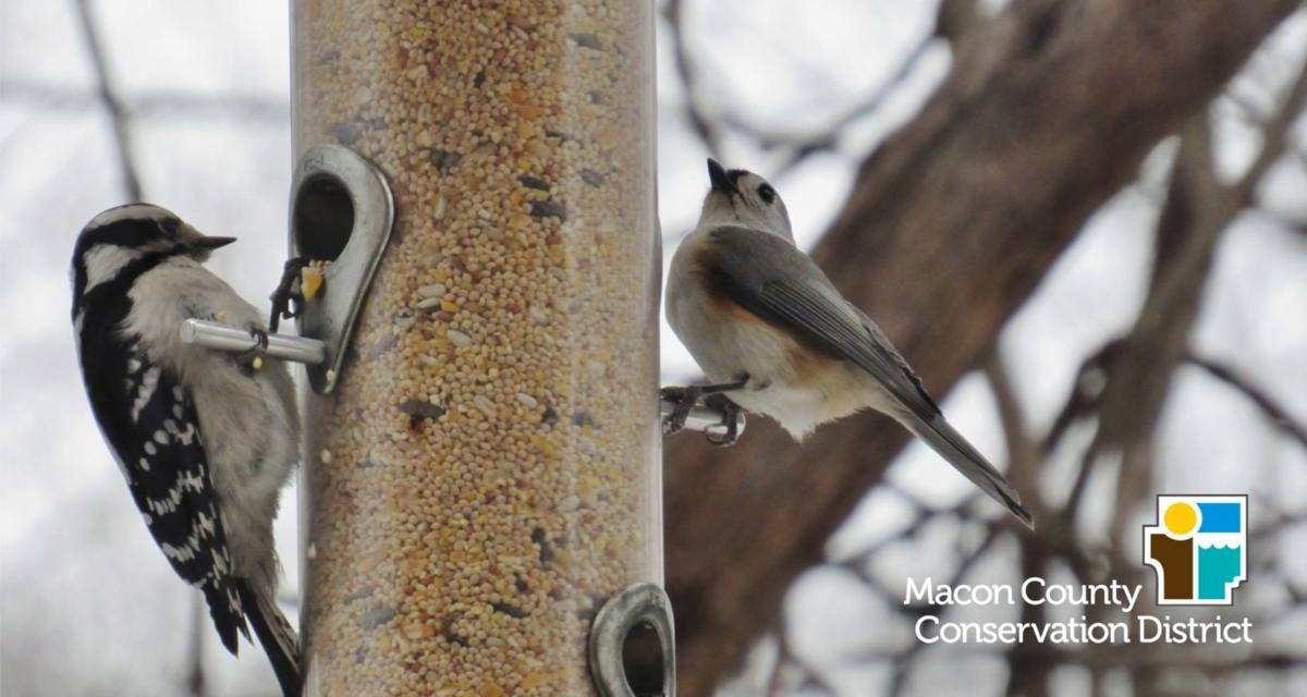 Rock Springs Program Teaches Children About Birds Make Bird