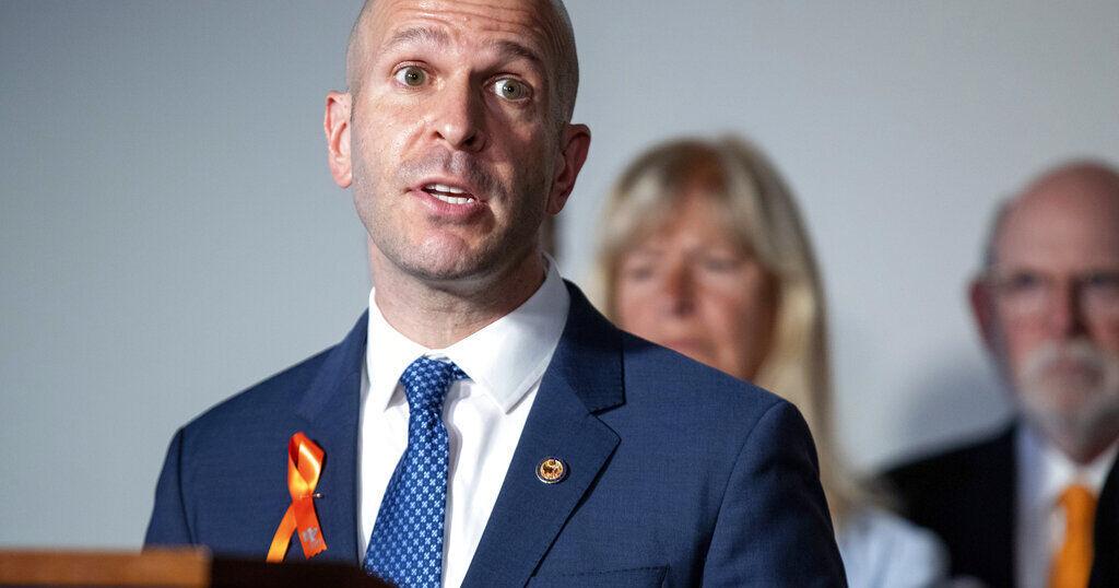 Semi-auto gun ban only part of solution, Illinois House told - Vimarsana News