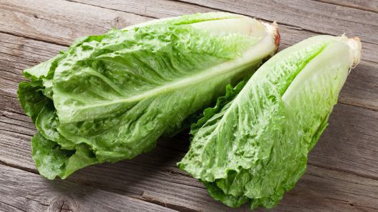 romaine