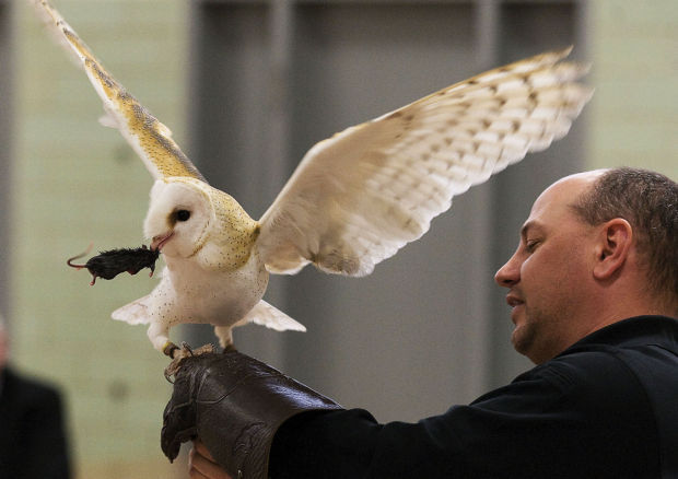 Students Explore Unit On Birds Close Up At Raptor Center Local