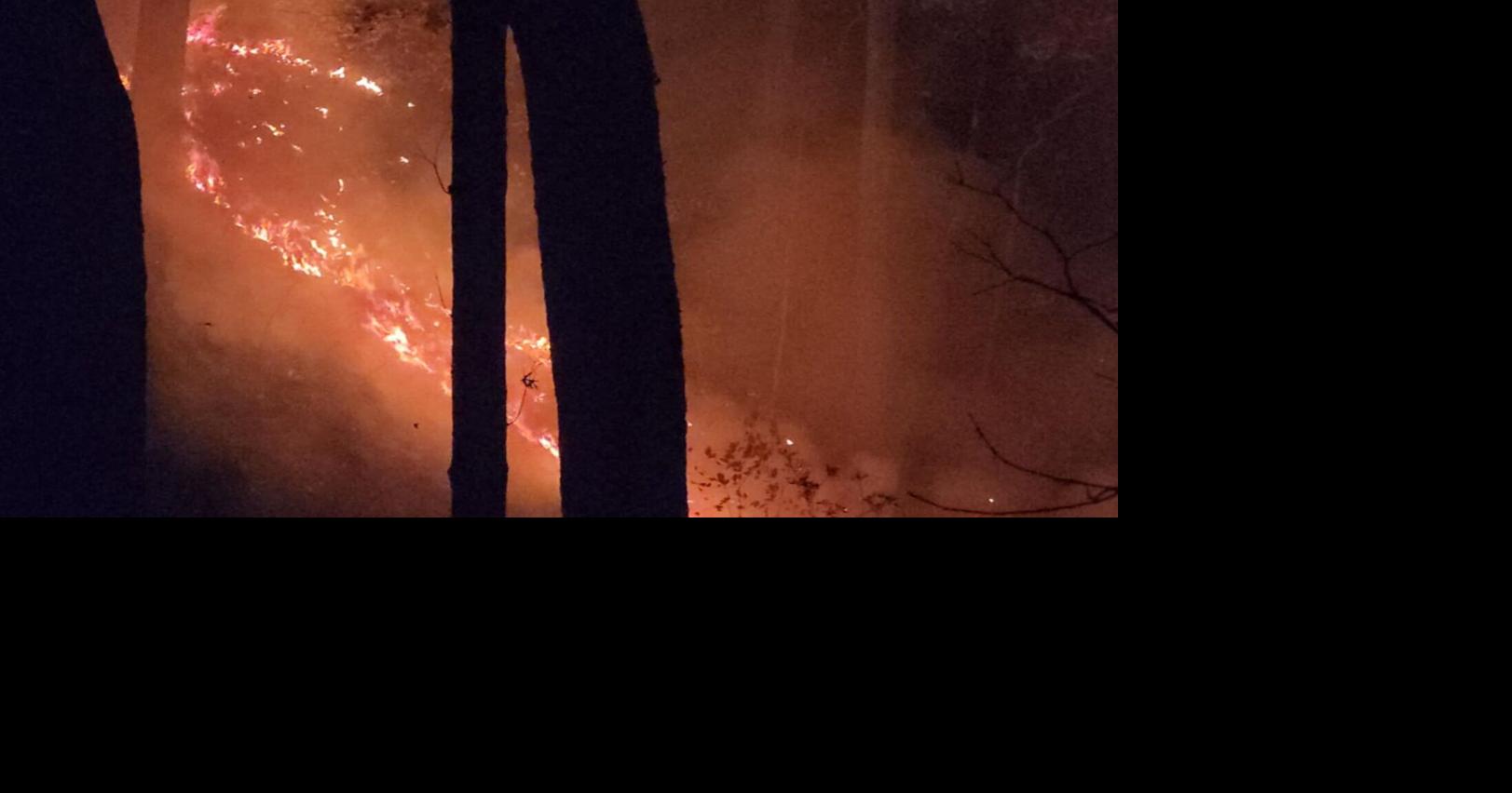 Fire in remote area of Fox Ridge under investigation