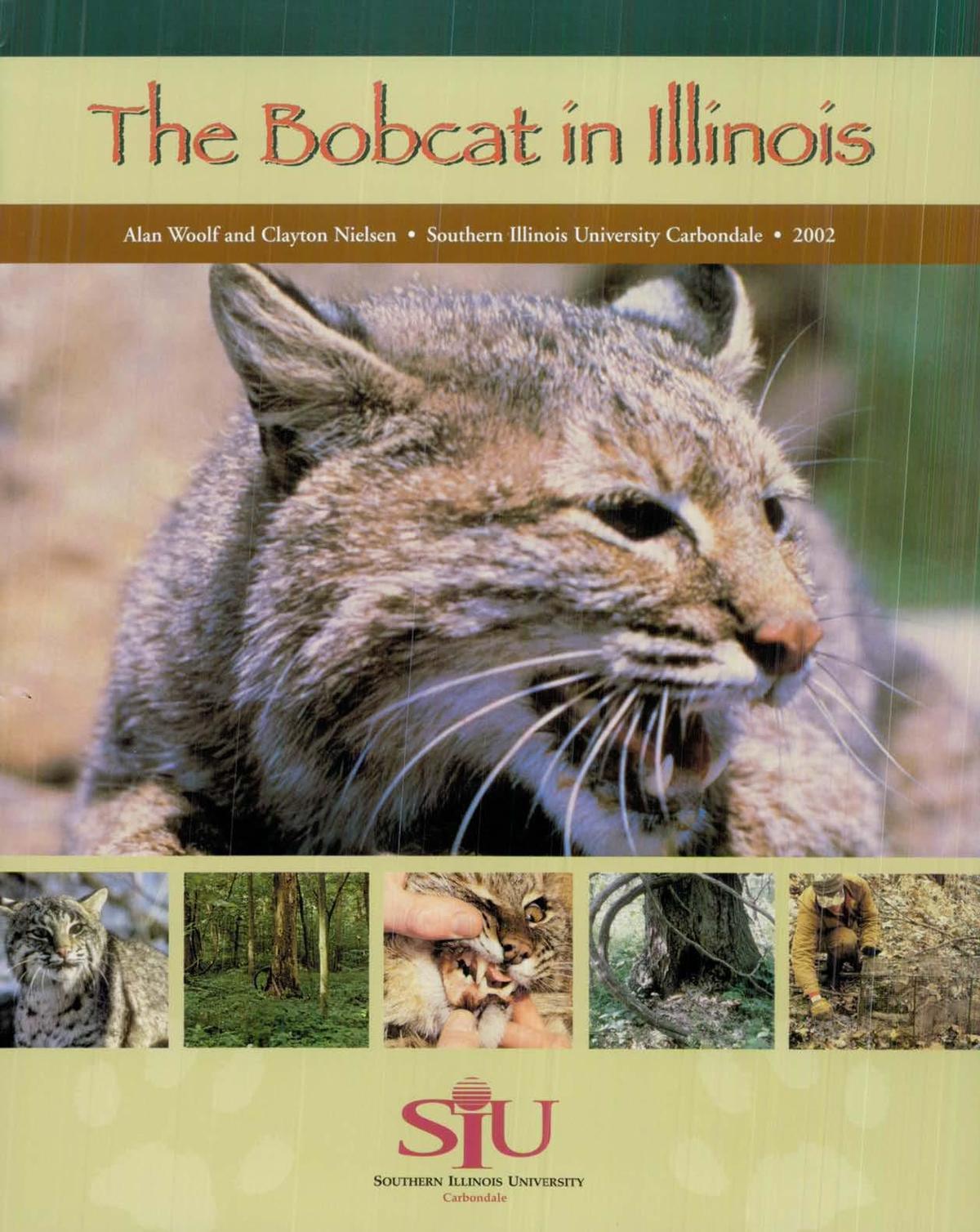 Bobcats Reported In Macon County State And Regional Herald