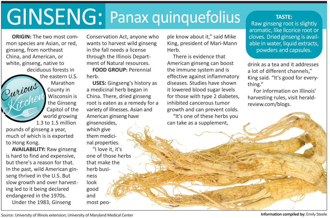 Curious Kitchen Gingseng