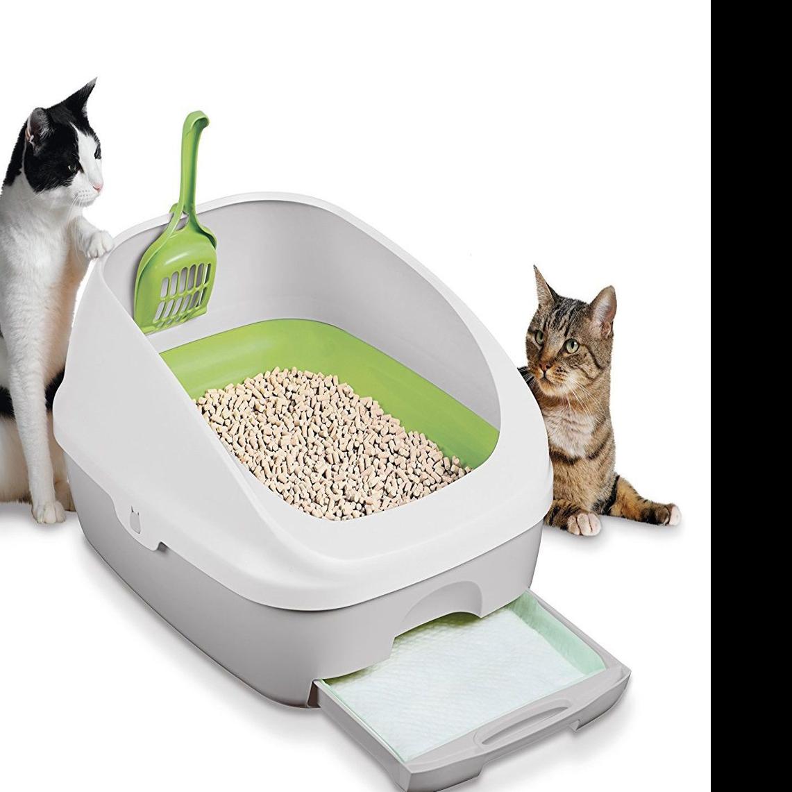 The Best Odor Free Cat Litter Boxes Home Garden Herald