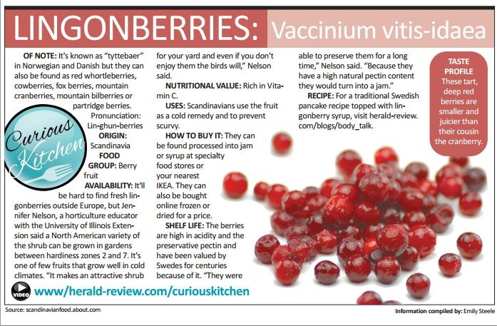 buy lingon berries online buy lingon berries online