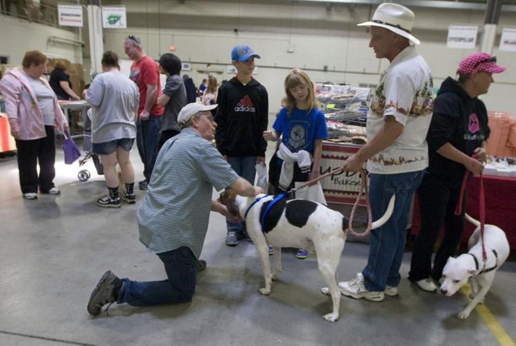 Dogs, owners come together at Woofstock