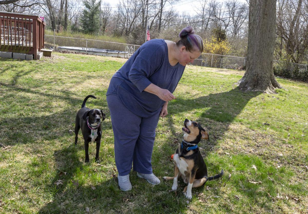 How The Coronavirus Is Being Felt By Macon County Animal Shelters Pets Herald Review Com