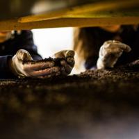 Decatur Bugs Decatur bug protein plant will be the biggest in the world