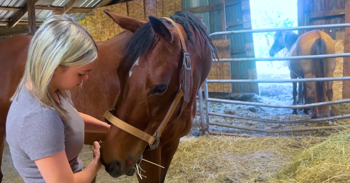 Decatur grad taking ag education to Washington