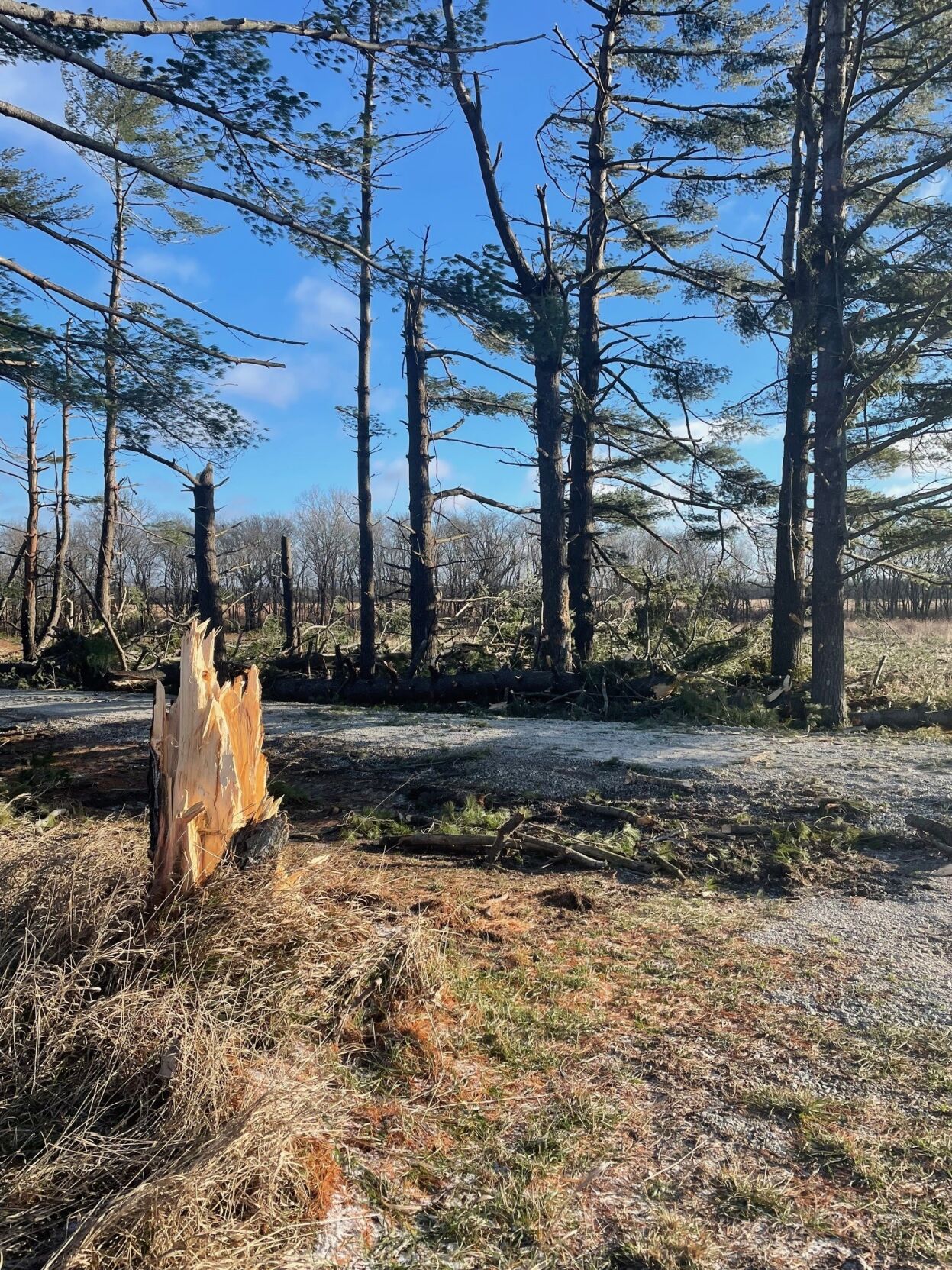 Tornado-Elwin Road