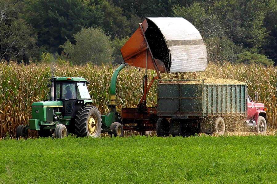 Farm