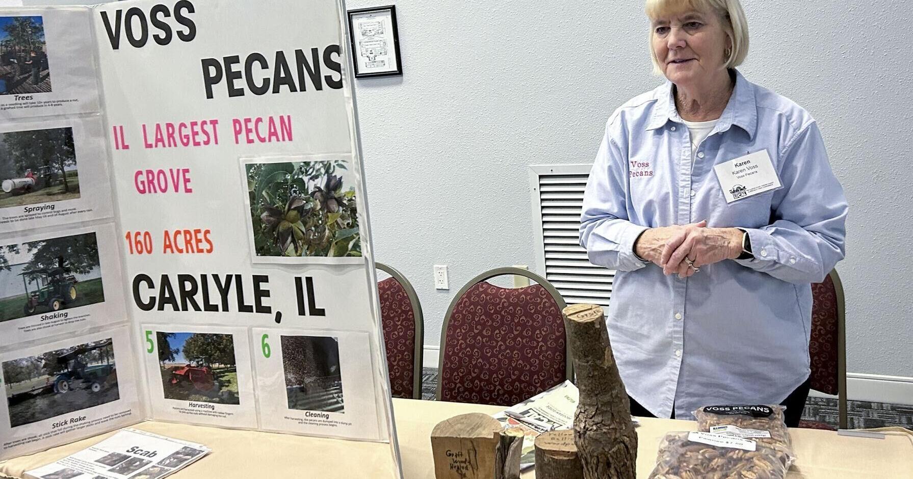 Pecans profitable, but challenging to produce in southern Illinois - Vimarsana News
