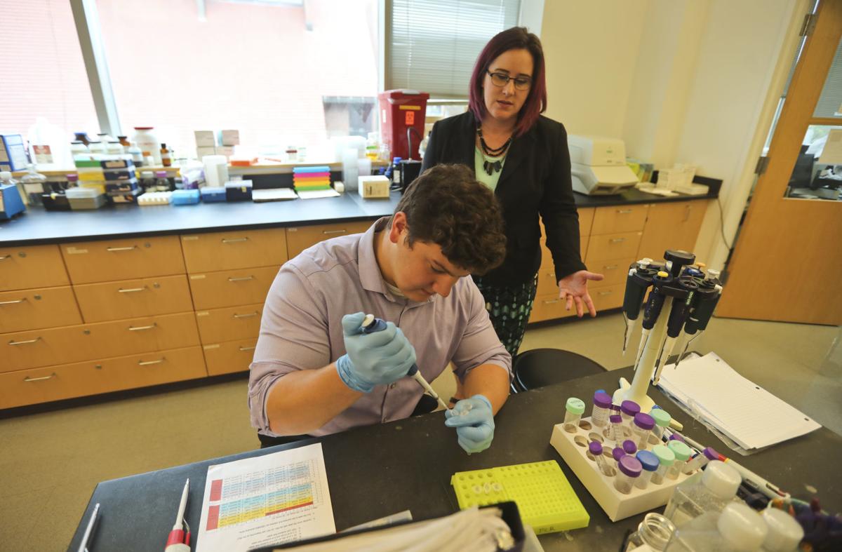 In Millikin University Lab Focus Is On Researching Cancer