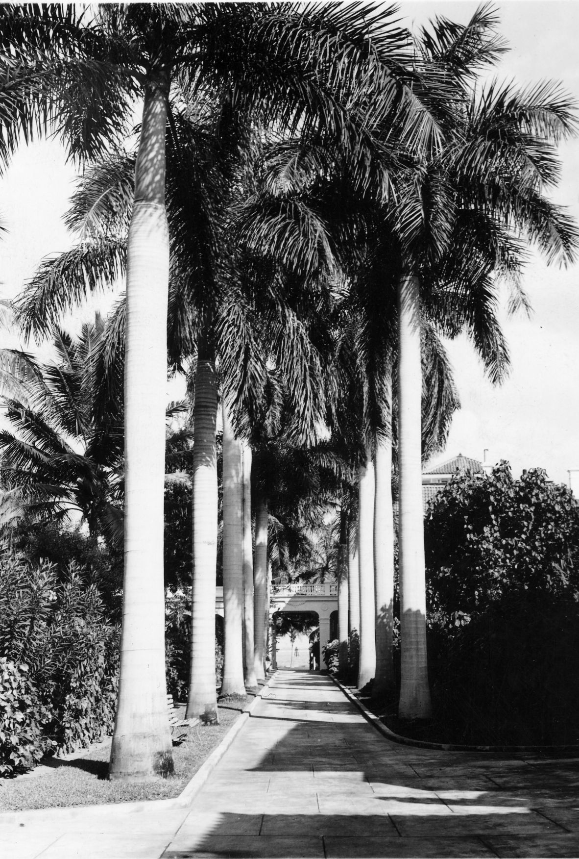 Photos Staley homes Photo Galleries