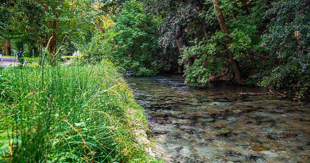 LANDA PARK: Comal Springs are the heart of New Braunfels - Vimarsana News