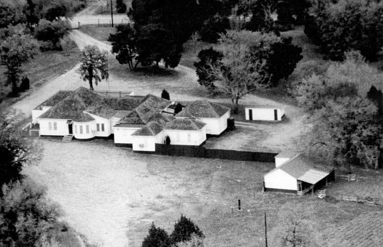 CHICKEN RANCH RETROSPECTIVE Author, New Braunfels resident marks 50th