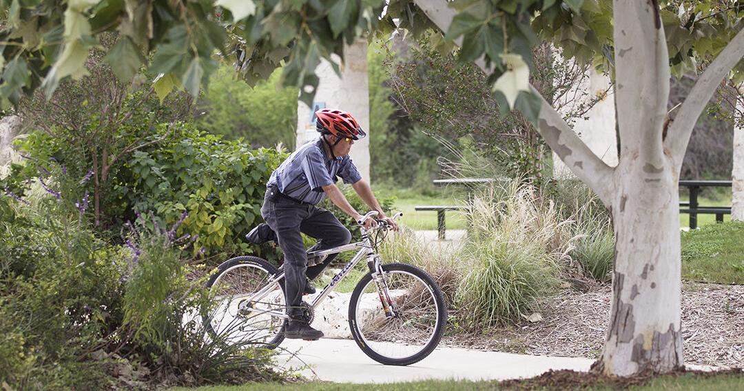 New Braunfels Jaycees inviting community to help with '90 trees for 90 years' event | News - Vimarsana News