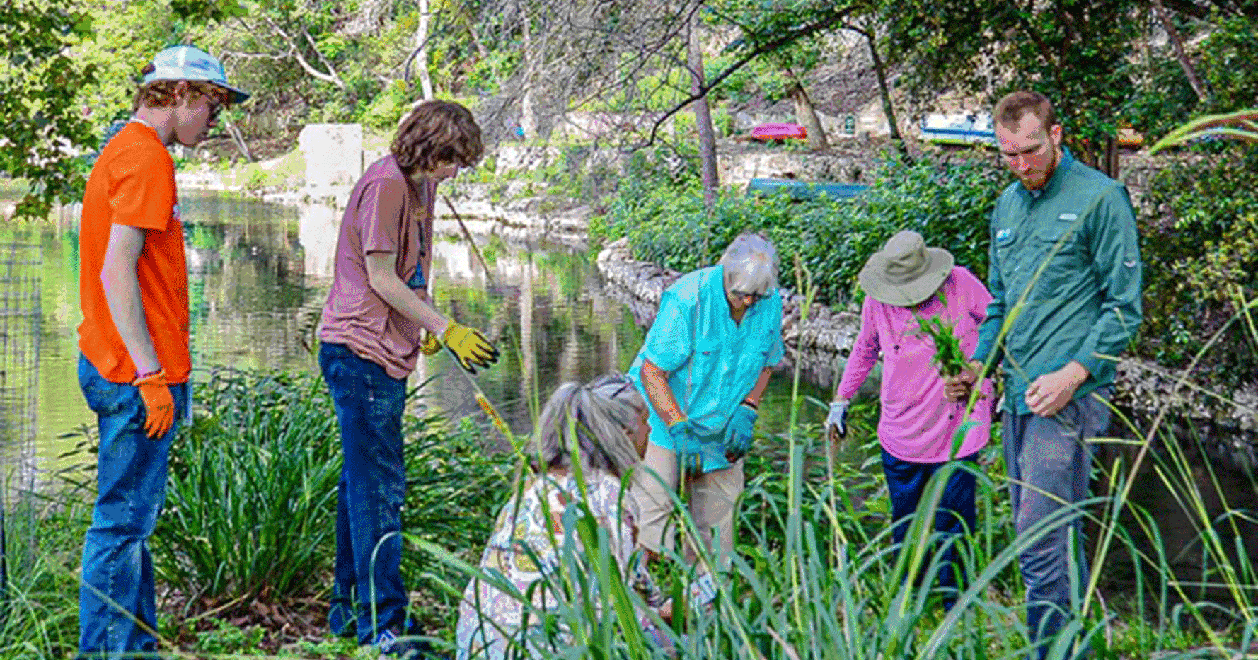 HABITAT HAVEN: Headwaters at the Comal hosts variety of wildlife - Vimarsana News