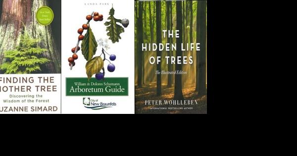 The secret language of trees: Schuman Arboretum - Vimarsana News