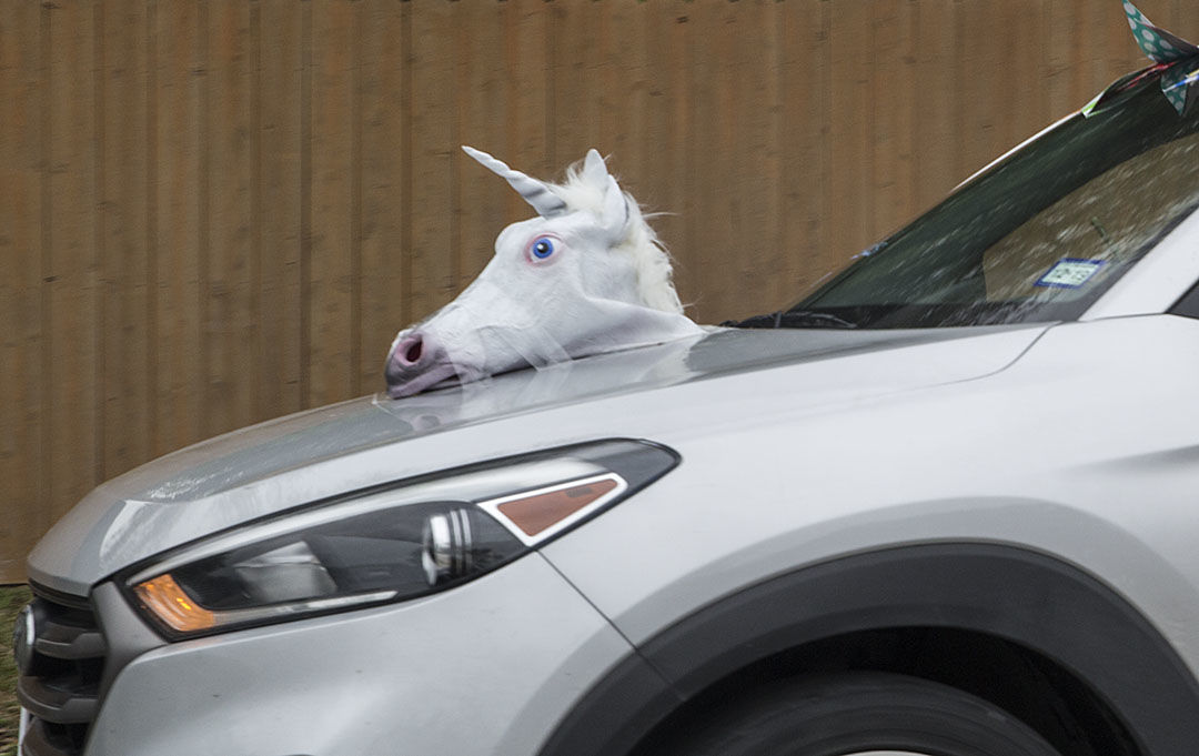 Walnut Springs Elementary's Honk Parade