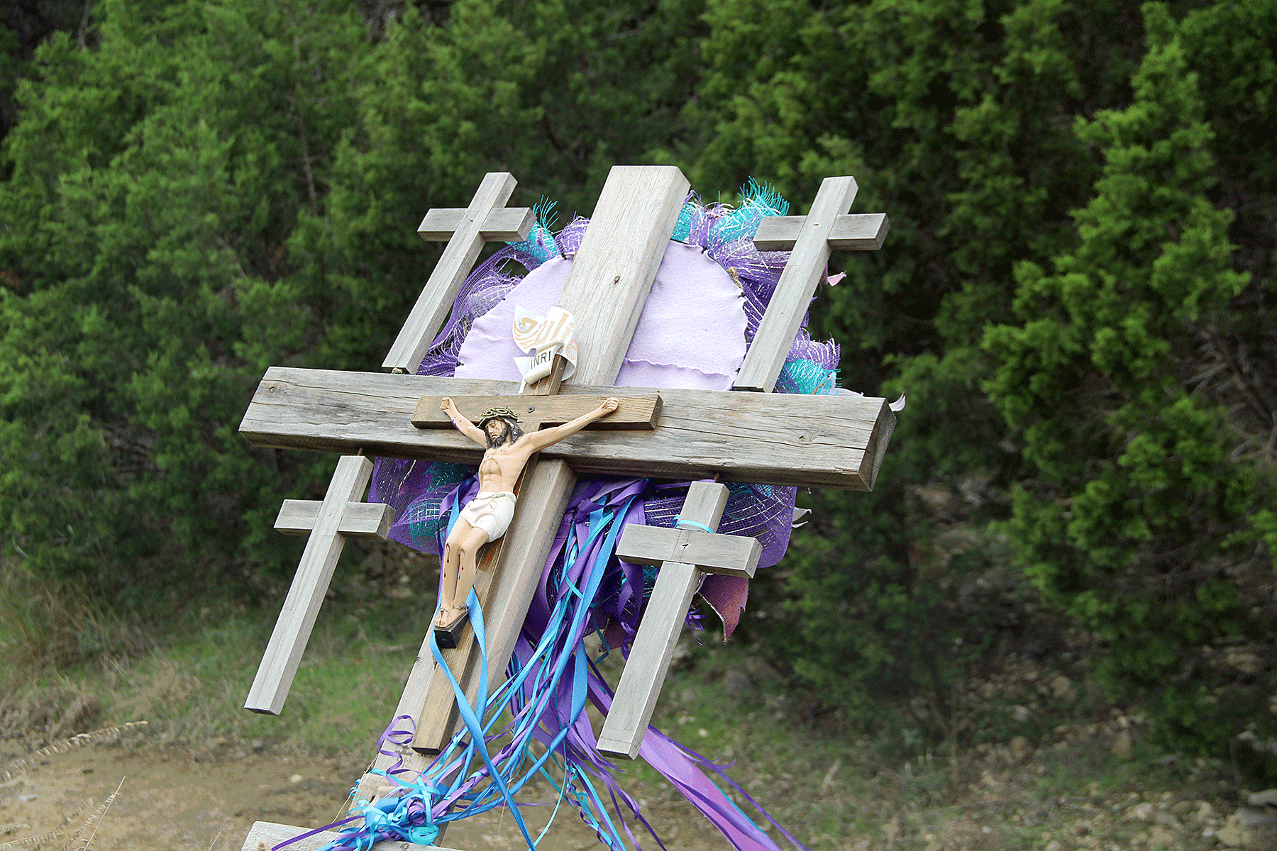 TxDOT Driver in Comal County crash that killed 7 was ‘highly TxDOT Driver in Comal County crash that killed 7 was ‘highly