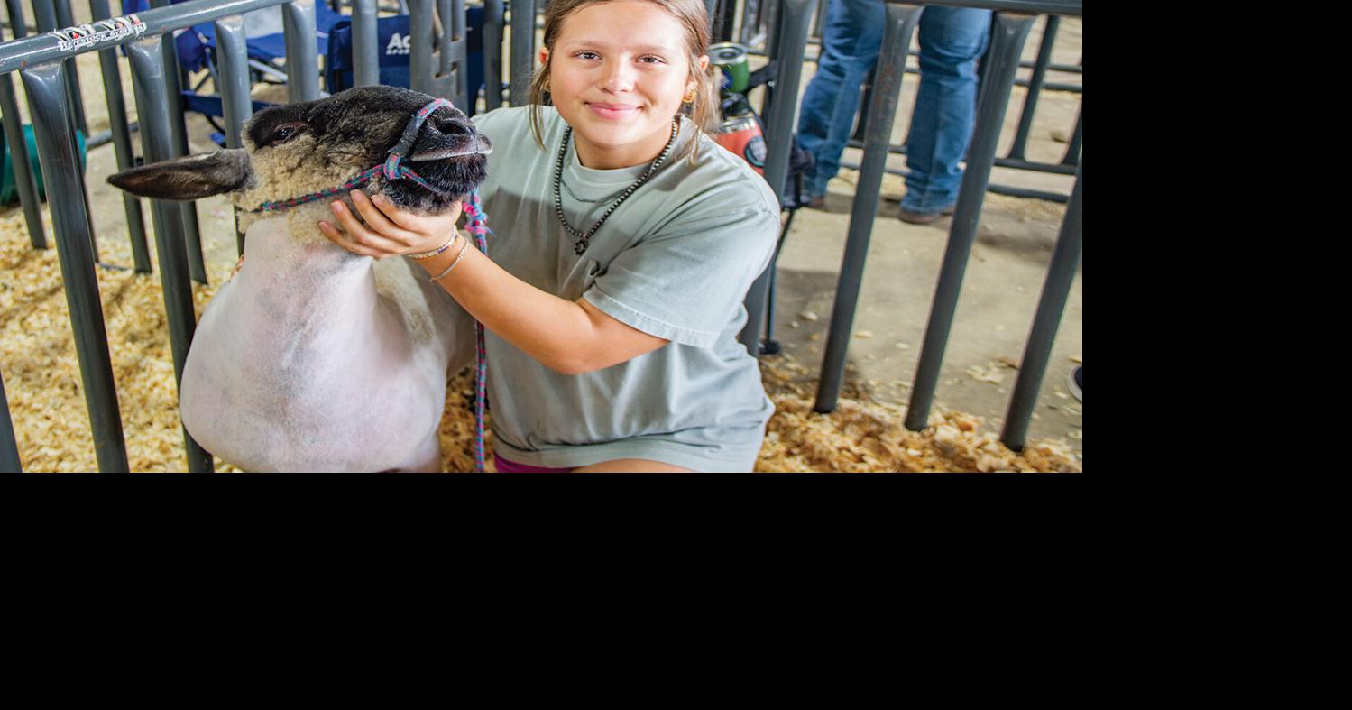 A WOOLY GOOD TIME: FFA, 4-H students showcase sheep at Comal County Jr ...