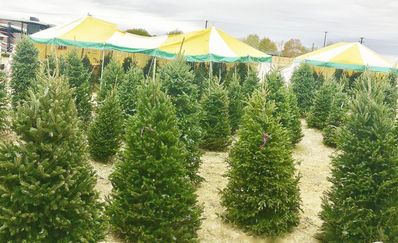 Church to use fundraiser as way to spread good tidings and help change