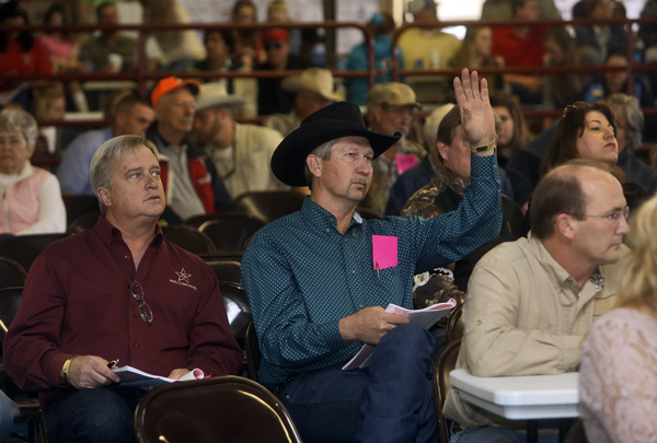 Market sale winners: Auction day at junior livestock show supports ...