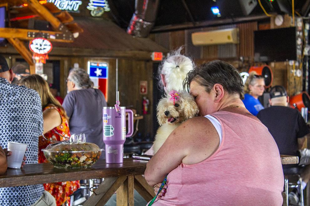 One-S Fest III to raise funds for Humane Society of the New Braunfels Area