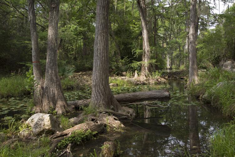 WIN FOR THE WATERSHED State to preserve Comal County’s Honey Creek Ranch after 25M purchase