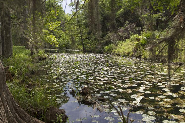 WIN FOR THE WATERSHED State to preserve Comal County’s Honey Creek Ranch after 25M purchase