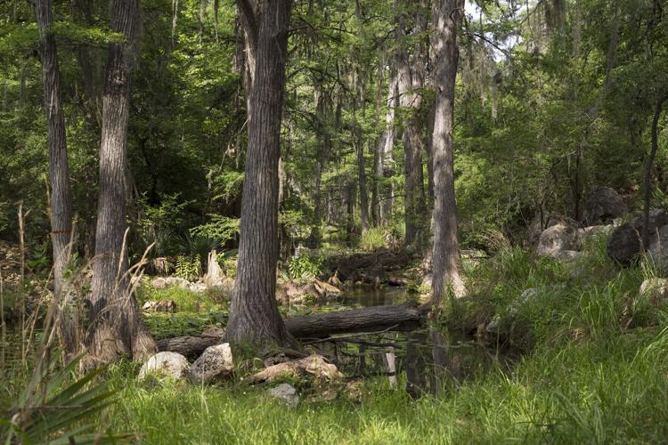 WIN FOR THE WATERSHED State to preserve Comal County’s Honey Creek Ranch after 25M purchase