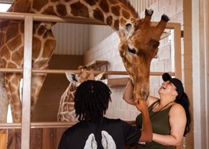 BEYOND THE WATER: Natural Bridge Wildlife Ranch offers a wild alternative to river season