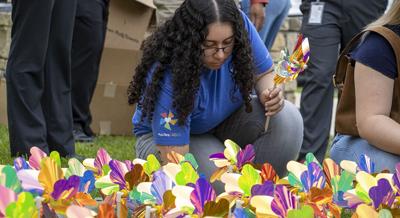 ‘BEING THE LIGHT’: Pinwheel display highlights community support for ...