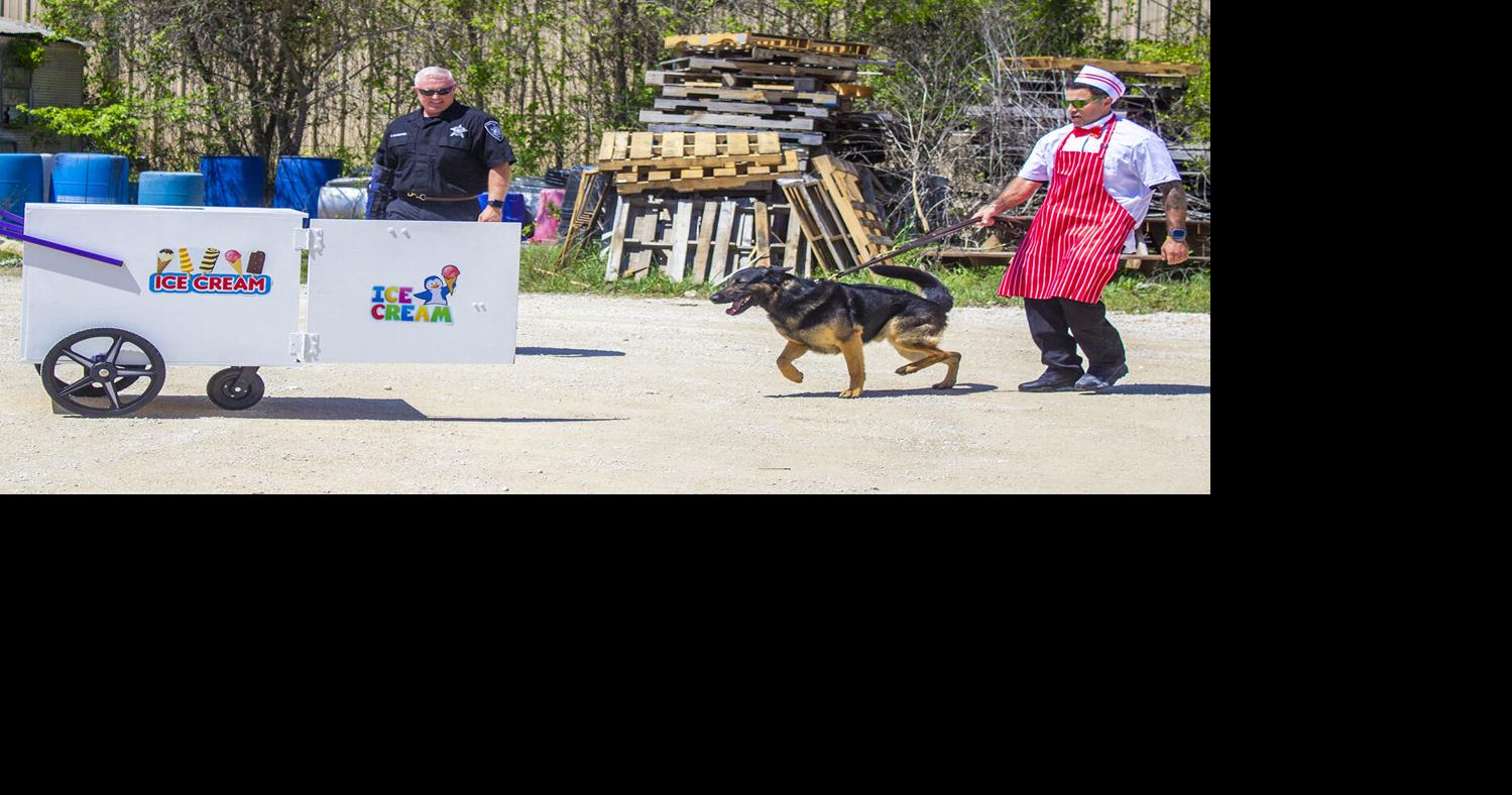 A PAWS-ITIVE IMPACT: 5th annual Pups and Pints fundraiser benefits ...