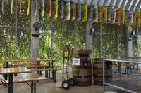 Krause's Cafe Reopening