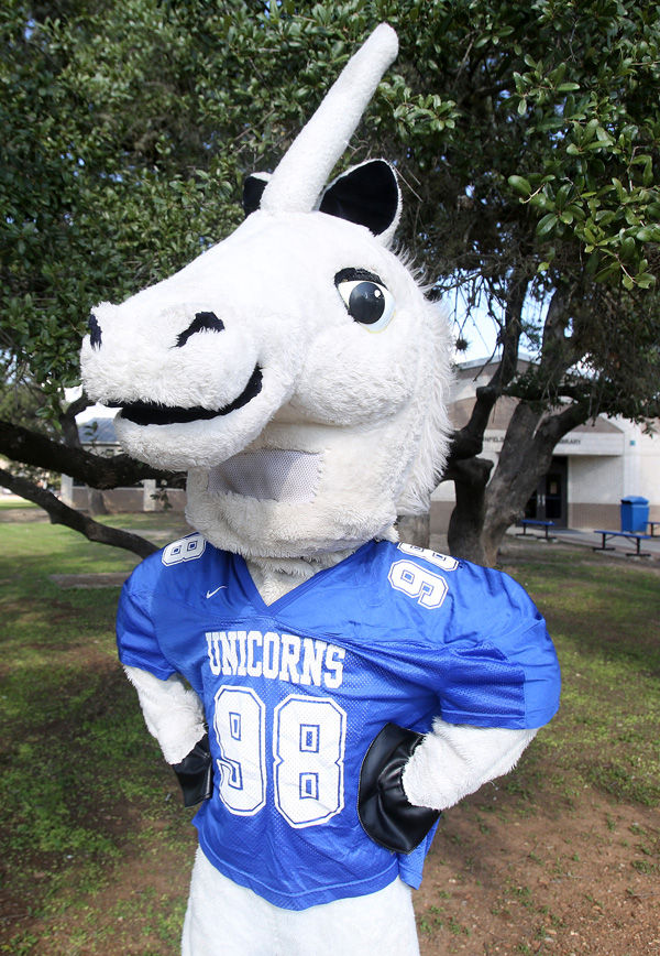 unicorn lol mascot